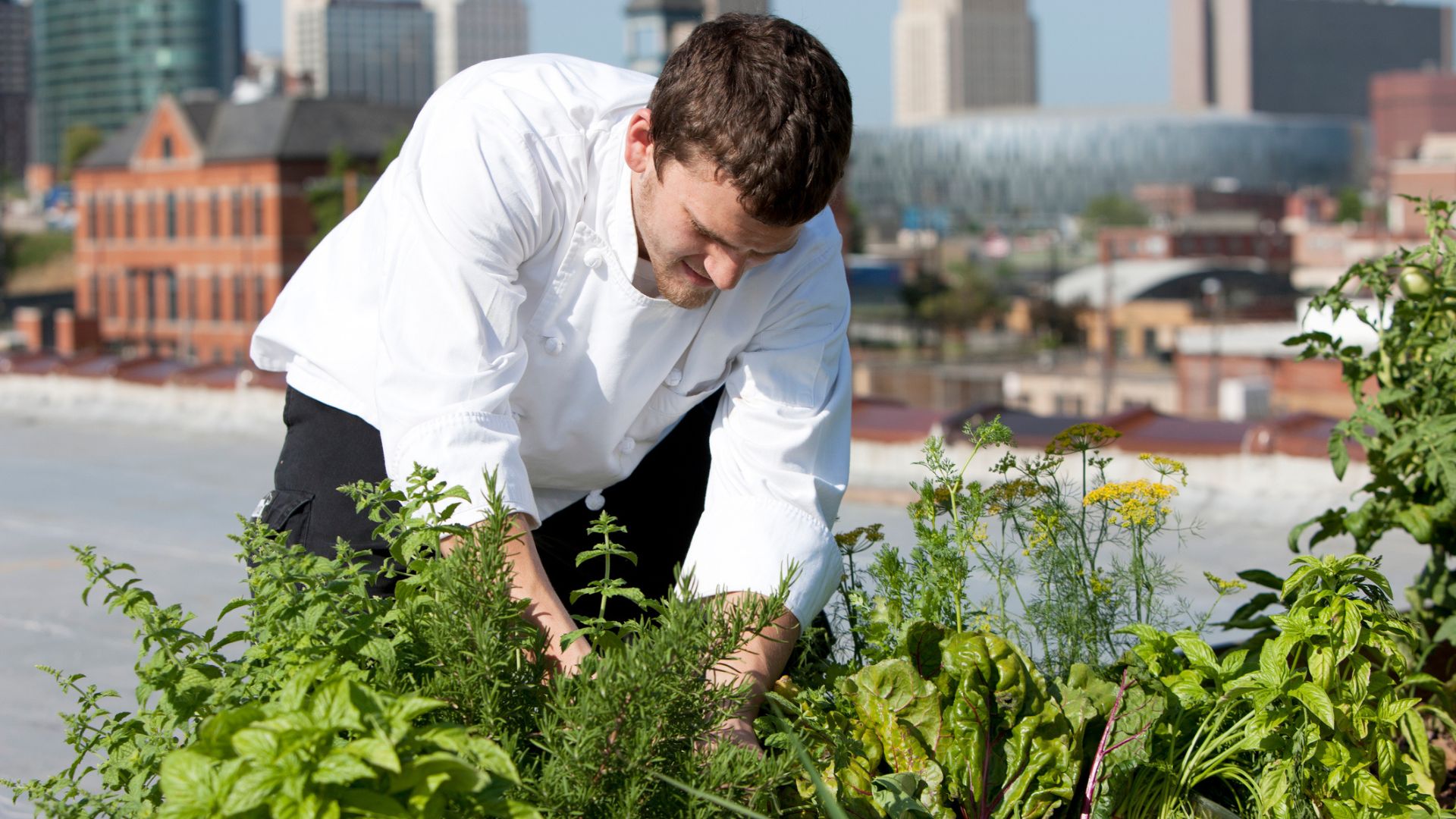 Locally_Grown_Produce_-_Chef